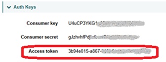 Access Token.jpg